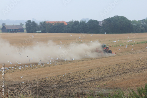 Fototapeta a tractor ploughing
