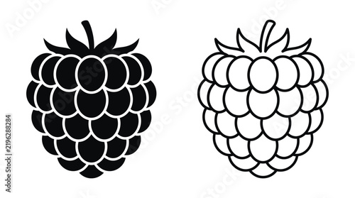 Raspberry silhouettes and line art on a white background