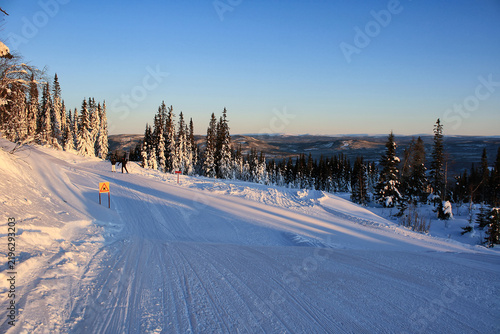 Fotografía Skiers on a snowy slope in Trysil, Norway, surrounded by snow-covered pine trees and panoramic winter landscape glowing in warm morning sunlight