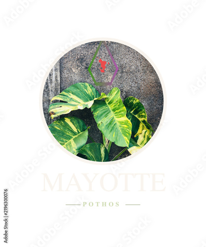 recycle symbol made of leaves