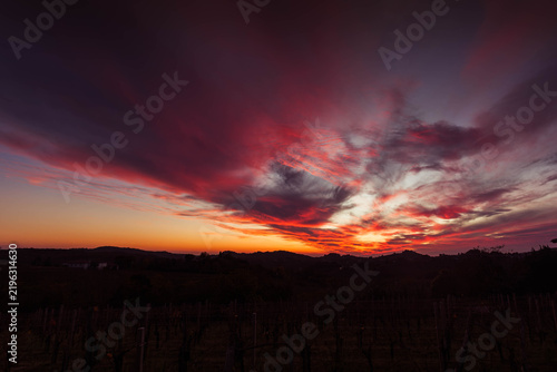 Vineyard rows silhouetted against a dramatic sunset sky with orange, red, and purple clouds in the Collio Region, Friuli, Italy