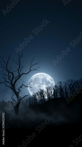 Full Moon Rising Over Forest with Bare Tree Silhouette and Mist at Night