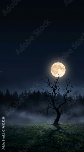 Full Moon Shining Over Bare Tree in Foggy Forest at Night