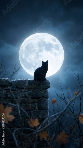 Silhouette of a Black Cat on a Stone Wall Against a Full Moon at Night