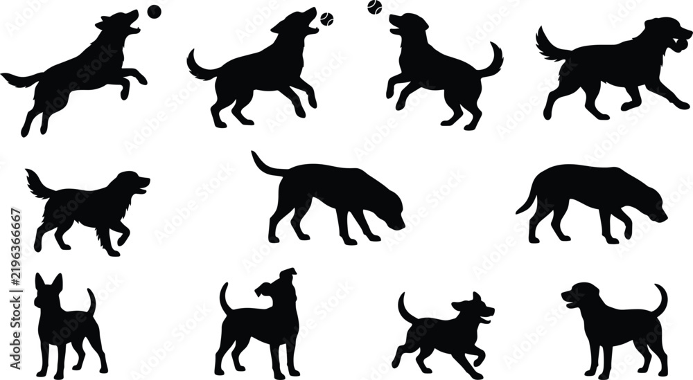Obraz premium Collection of playing and running black dog silhouettes in different poses on white background