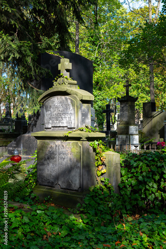 Obraz na plátne Historic cemetery with old stone tombs and crosses surrounded by lush greenery a
