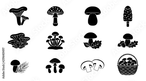 Forest Mushroom Collection Black Silhouette Vector Set