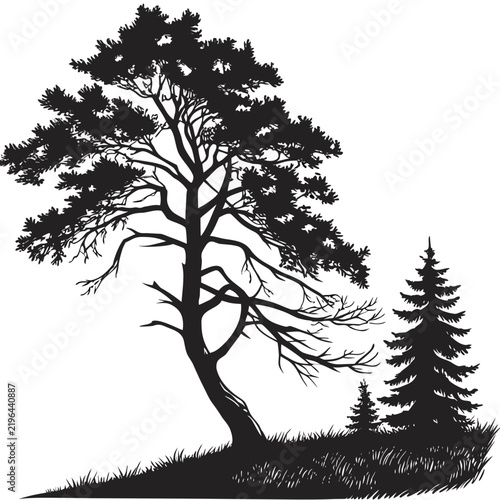 Christmas Tree Black Silhouette Vector Collection – Minimal Holiday Evergreen Icons