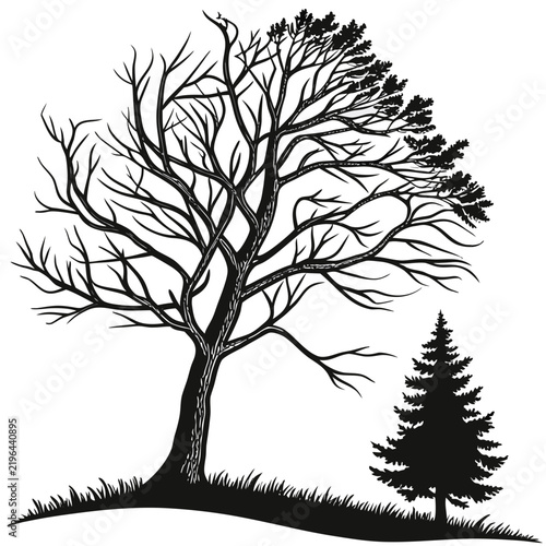 Christmas Tree Black Silhouette Vector Collection – Minimal Holiday Evergreen Icons