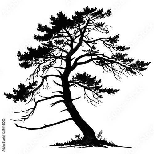 Christmas Tree Black Silhouette Vector Collection – Minimal Holiday Evergreen Icons