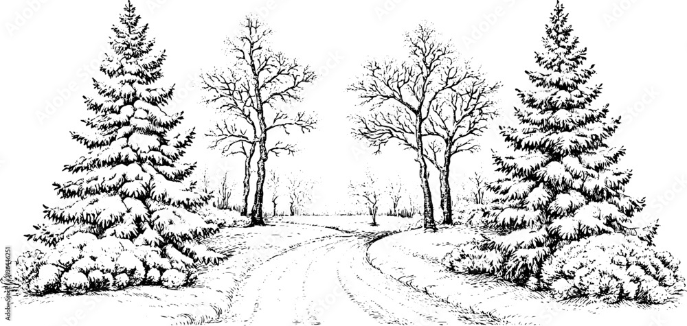 Obraz premium Antique black ink snowy forest landscape engraving with curved road and pine trees isolated on white for winter background poster and banner design