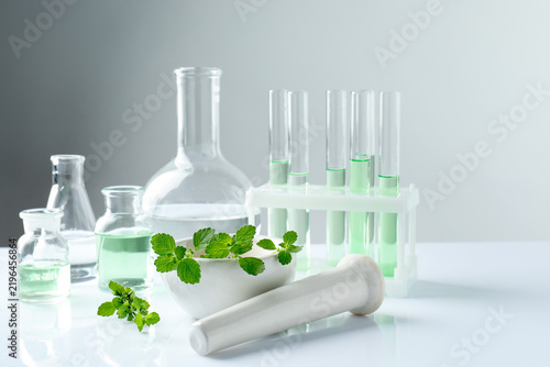 Fotografía Mortar with pestle, fresh mint leaves and glassware on white table, closeup