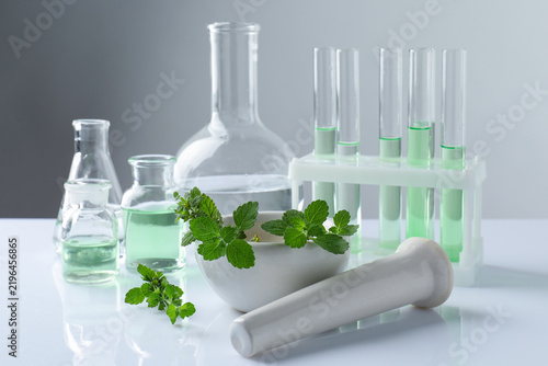Bild auf Leinwand Mortar with pestle, fresh mint leaves and glassware on white table, closeup