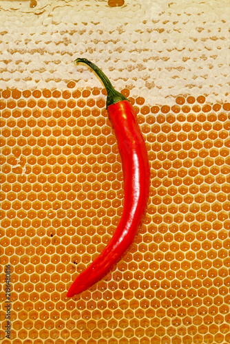 A red hot chili pepper pod set against golden honeycombs. A concept featuring spicy honey seasoning, gourmet ingredients, and contrasting flavors.
