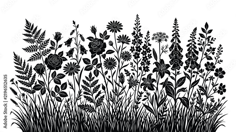 Fototapeta premium Wildflower silhouette depicts a dense botanical arrangement against a white background