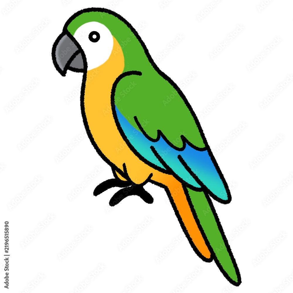 Fototapeta premium Illustration of a Colorful Parrot