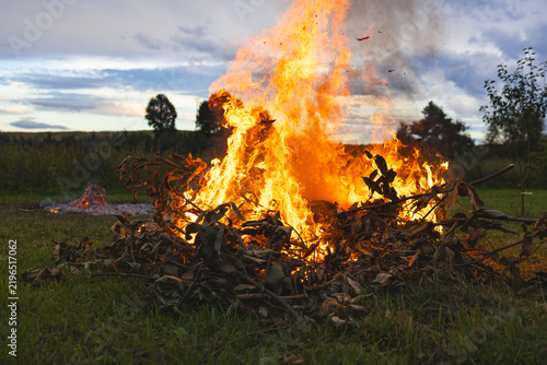Burning fire in the field at sunset. Fire in the field.