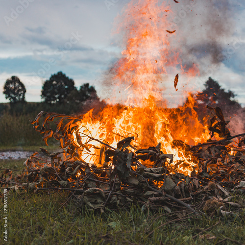 Burning fire in the field at sunset. Fire in the field.