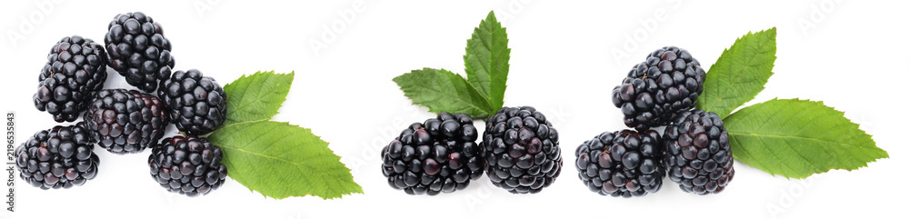 Obraz premium Fresh juicy blackberries and green leaves isolated on white, set