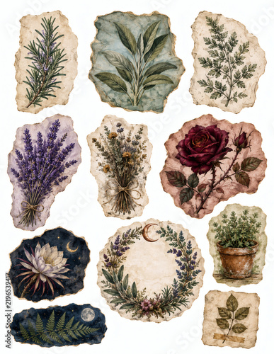 Vintage Garden Herb and Flower Cutouts with Botanical Details
