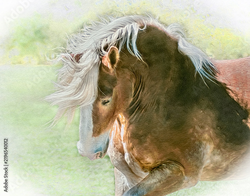 Foto stylized digital photo art of Belgian Draft Horse stallion in action