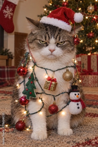Grumpy fluffy cat wearing a mini Santa hat wrapped in glowing Christmas lights, colorful ornaments, baubles, and a snowman hanging decoration, sitting indoors in front of a warm festive tree.