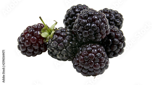 Картината върху платно Isolated group of ripe organic dark purple blackberries with green calyx and nat