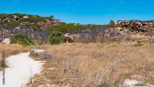 Фотография australia kimberley landscape dry sun bleached golden yellow inhospitable rocks