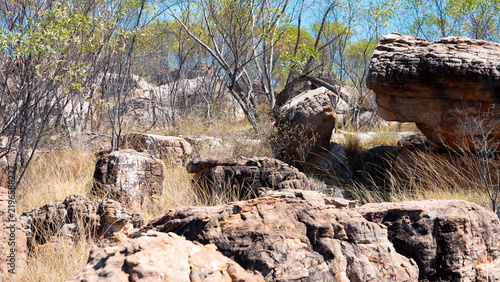 Obraz na plátně australia kimberley landscape dry sun bleached golden yellow inhospitable rocks