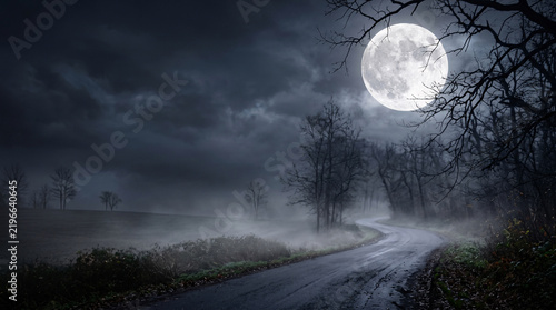 Dark spooky forest road under bright full moon night sky with thick fog and bare trees