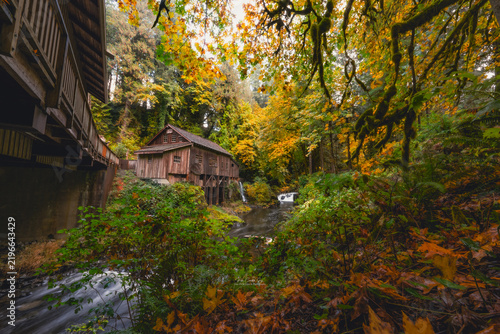 Quadro su tela Fall Season Colors