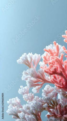 coral reef
