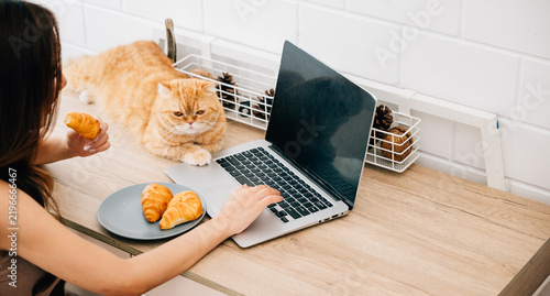 Quadro su tela Heartwarming home office portrait, woman exemplifies joy of togetherness with her Scottish Fold cat while focusing on work at her desk, creating harmonious blend of productivity and pet companionship