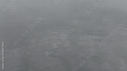 Aerial view of mist drifting over still coastal water in the Pacific Northwest — soft fog over still water