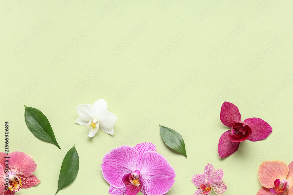 Obraz premium Wellness and spa background, colorful orchid flowers and green leaves on a soft light green surface with copy space for beauty and relaxation