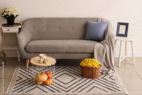 Beautiful chrysanthemums, table and sofa in interior of living room near whit...