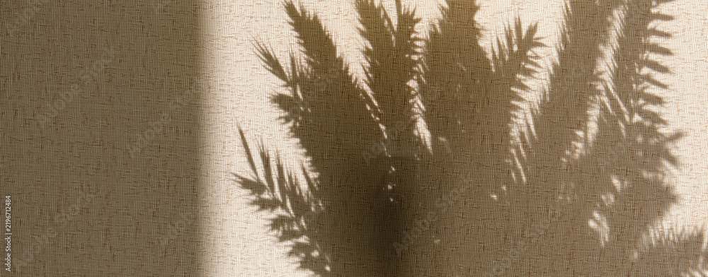 Obraz premium Whisper of floral motifs in soft dim light, while the subtle crossed lines of the abstract backdrop create a delicate lattice of shadows. The vintage background feels comforting with nostalgic charm
