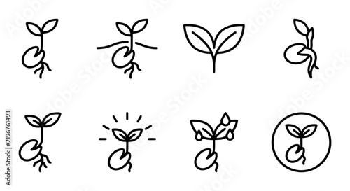 Seedling Growth Icons, Plant Sprout Stages, Organic Farming Vector Set