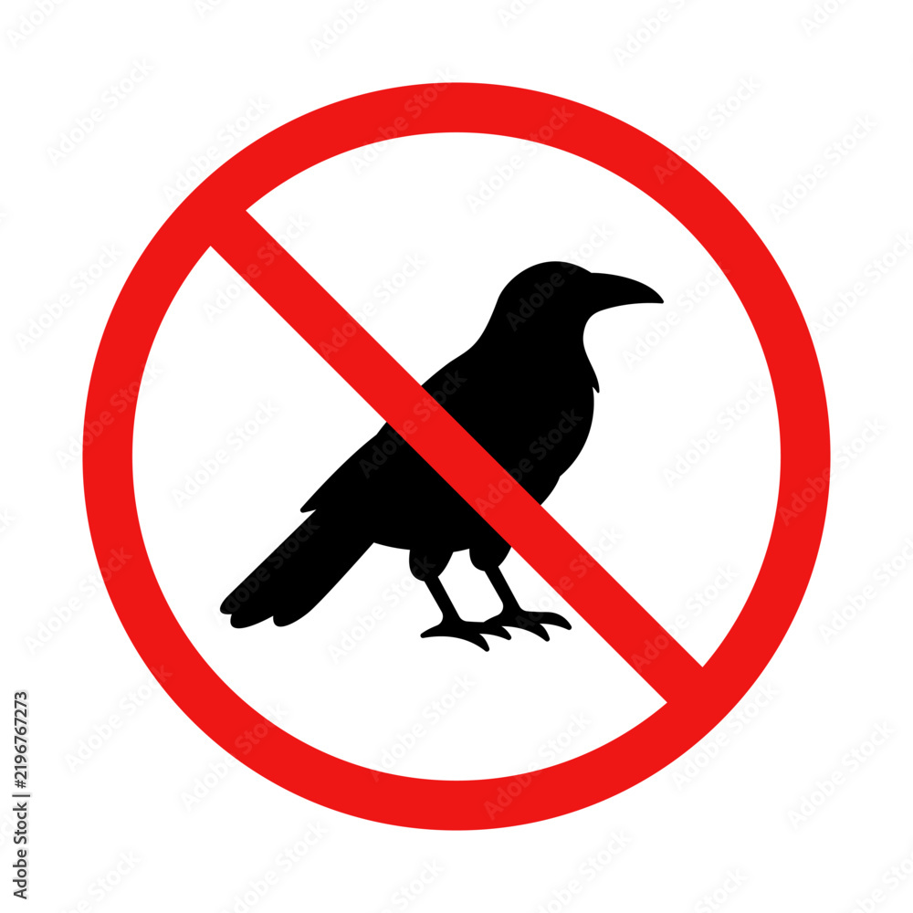 Obraz premium No Crow or Raven Sign on White Background