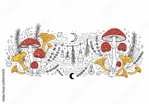 Whimsical Mushrooms and Potions Illustration