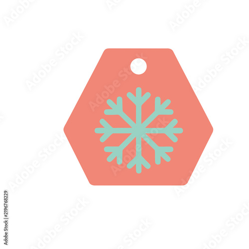 Snowflake on a Hexagonal Tag