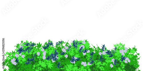 Green bush with beautiful flower 03