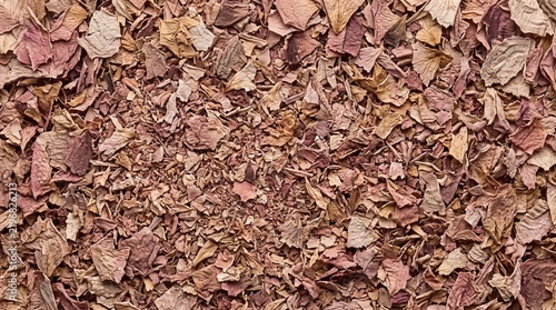 Dried crushed autumn leaves texture background for seasonal nature design projects.