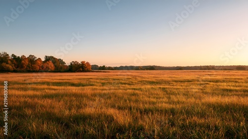 Autumn landscape with golden field and trees at sunset in panoramic view
