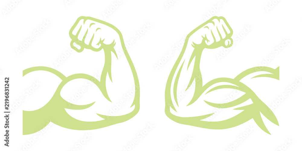 Fototapeta premium Two light green bicep flexing arm isolated on a white background, showing muscular strength and fitness concept for gym and health branding