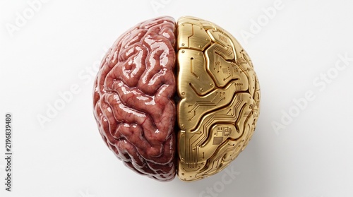 Artificial Intelligence and Human Cognition, a dual brain split concept showing biological matter and golden electronic circuitry