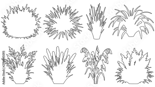 Set of ornamental grass silhouettes in vector line art style isolated on transparent background