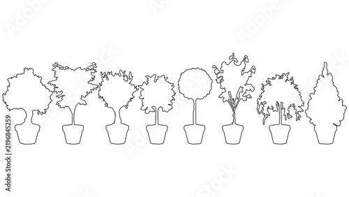 Set of potted trees top view or elevation line art vector illustration isolated on transparent background