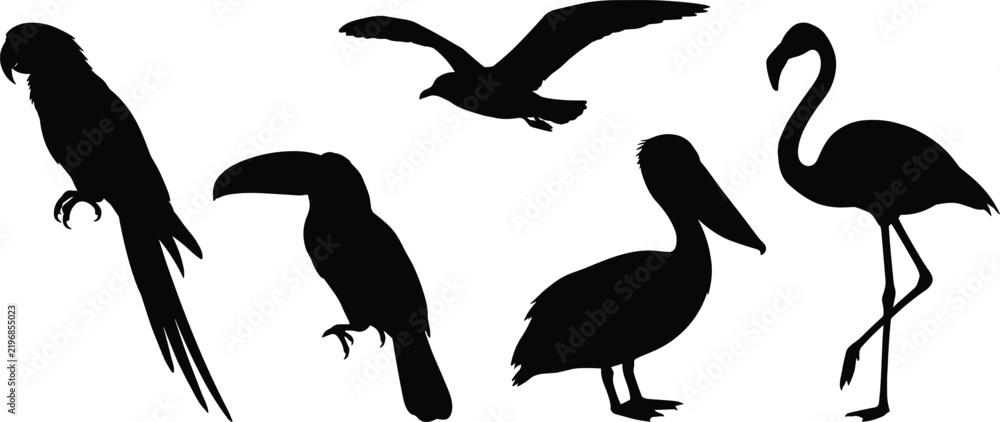 Obraz premium Solid black silhouettes of exotic bird species including parrot, toucan, seagull, pelican, and flamingo