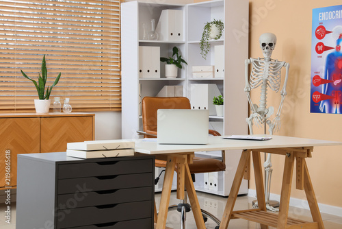Interior of modern medical office with human skeleton model, workplace and sh...
